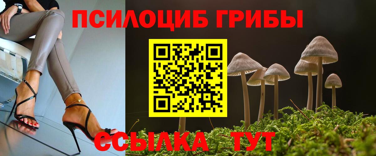 Галлюциногенные грибы Psilocybine cubensis  Вход с VPN  купить  сайты  Алексин 